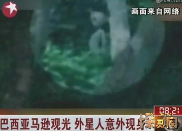 {娛樂城}(外星人的存在终于被证实)